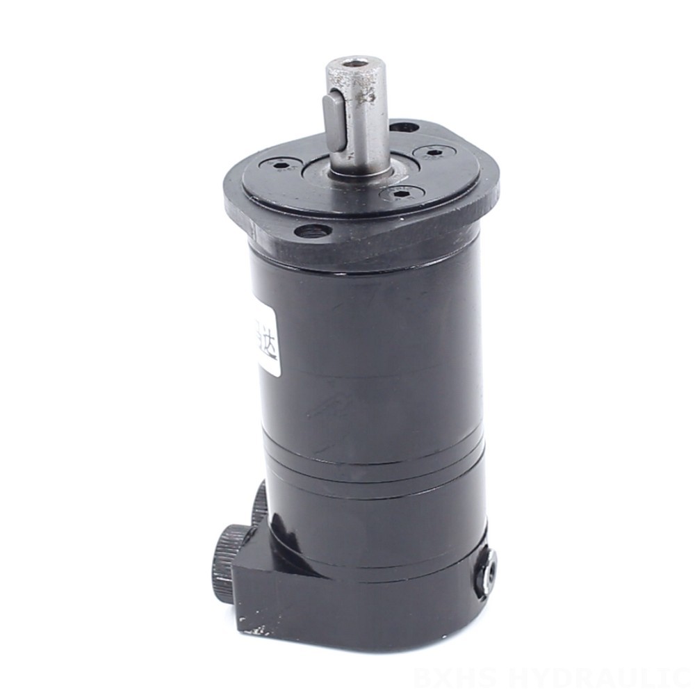 BMM Cycloid Hydraulic Motor 8 cc/r 14 Lpm: OEM & ODM Services Available image